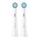 toothbrushoralb.com