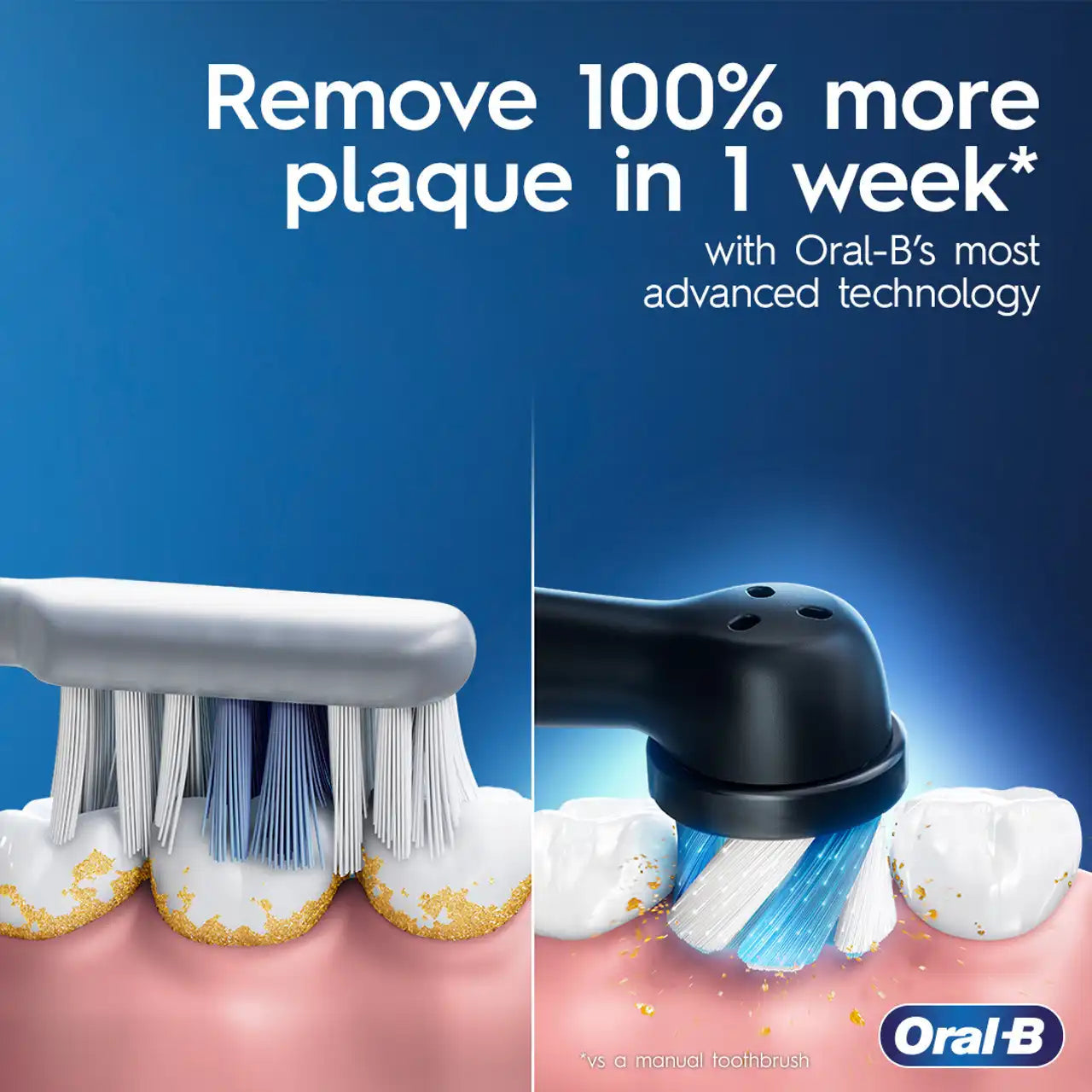 toothbrushoralb.com