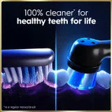 toothbrushoralb.com