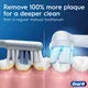toothbrushoralb.com
