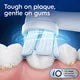 toothbrushoralb.com