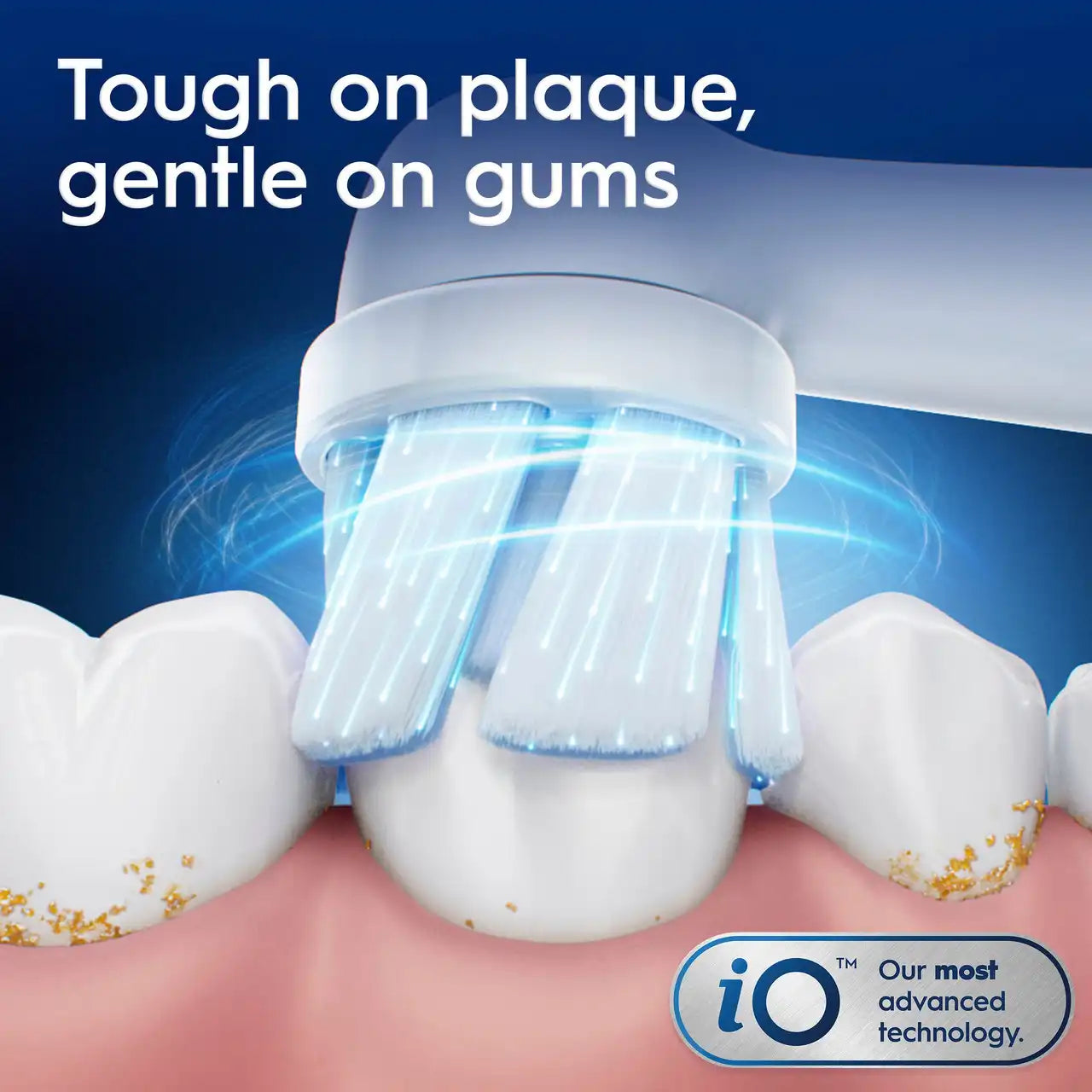 toothbrushoralb.com