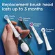 toothbrushoralb.com