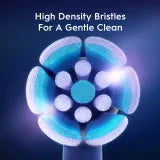 toothbrushoralb.com