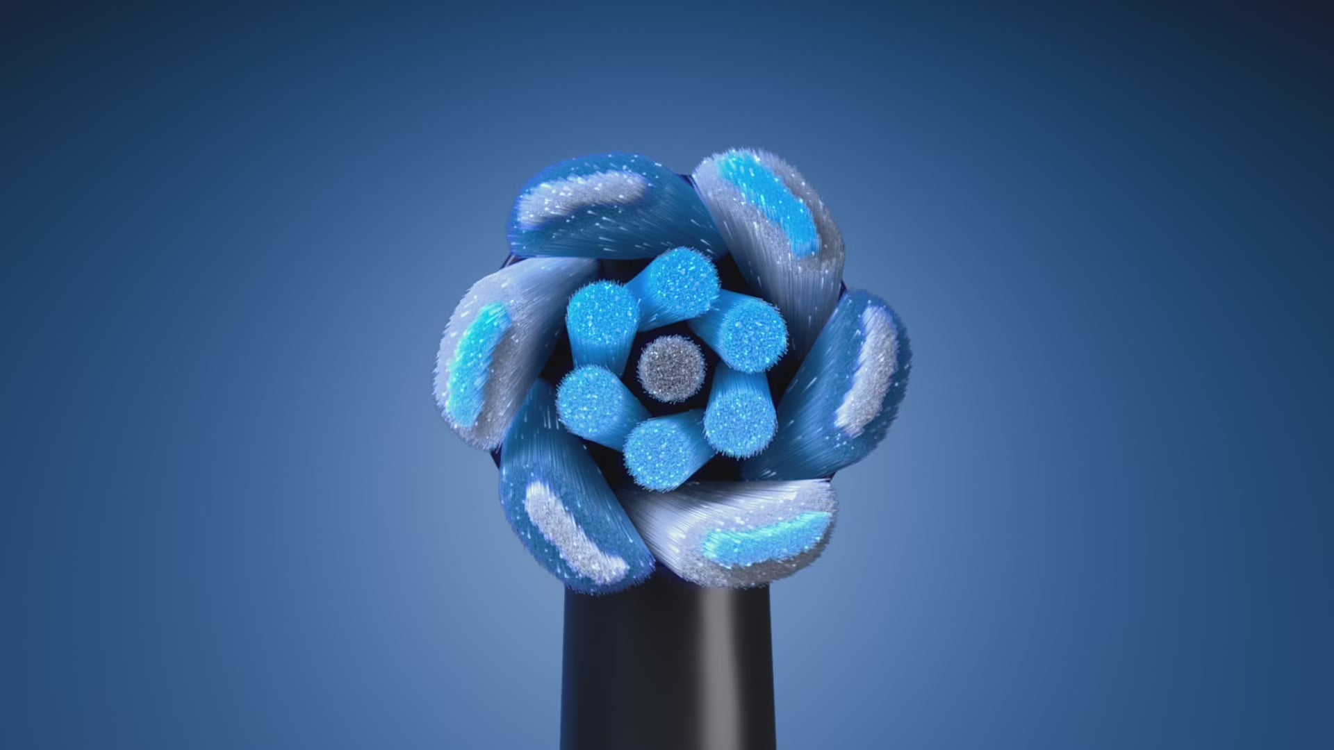 toothbrushoralb.com